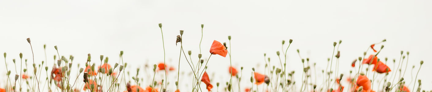 Image by Henry Be