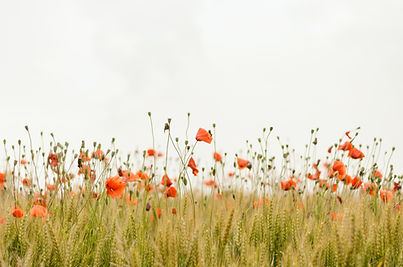 Image de Henry Be