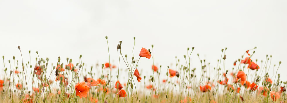 Image by Henry Be