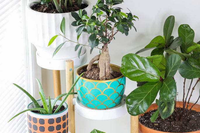 A To Z Ceramic Planters Collection