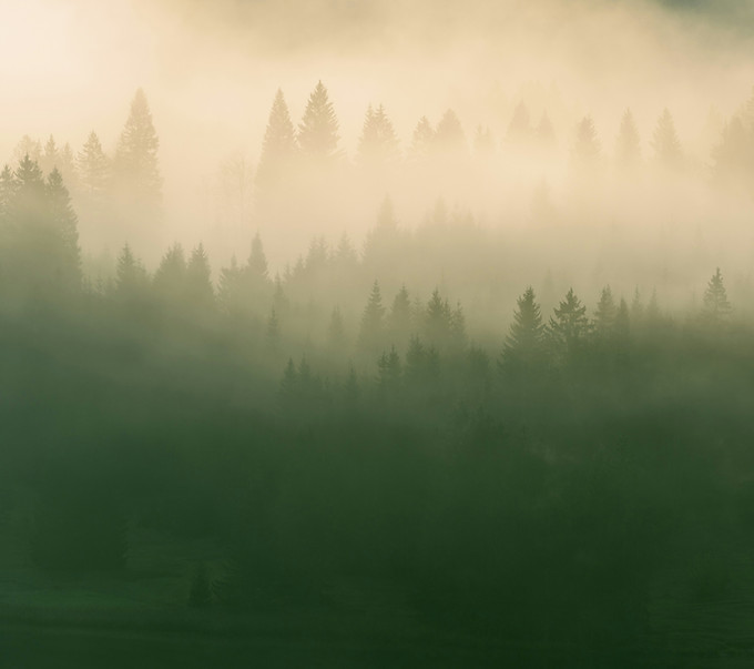 Image by Philipp