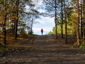 A woman walking in a forest.
