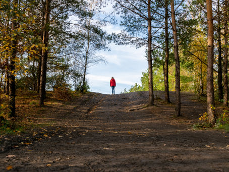 A woman walking in a forest.