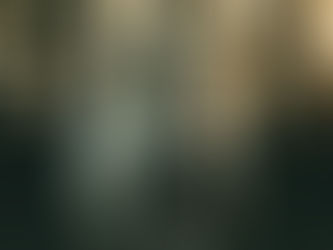 The Year of the Horse