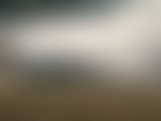 A Mercedes F1 car doing donuts at Goodwood Festival of Speed.