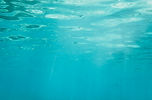 Image by Tommy Kwak