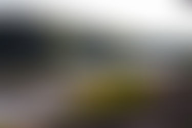 Alabama Advanced Healthcare Directives: What You Need and Why You Shouldn’t Wait