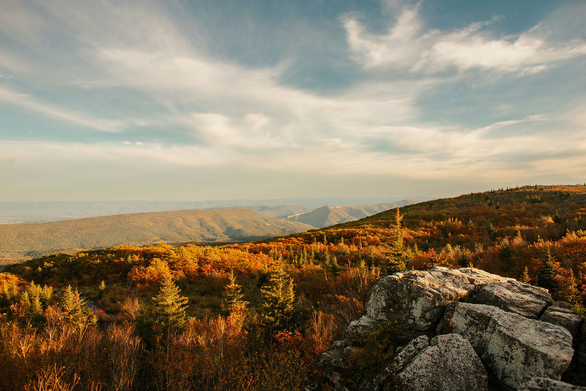 Dolly Sods Autumn Views