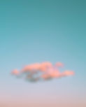 Image by Faisal Sultan