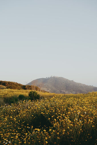 Image by Aubrey Rose Odom