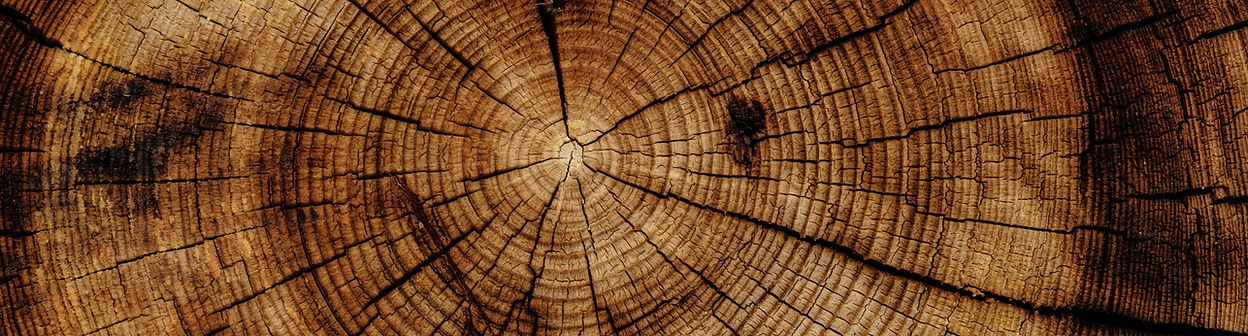 Image by Joel & Jasmin Førestbird