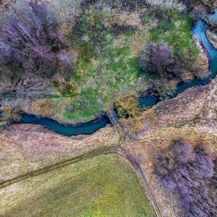 River and wetland near forest field