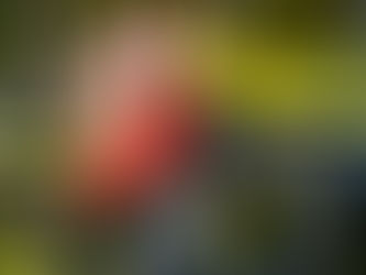 Mastering Boundaries for Social Work Success Part 2: Strategies to Set and Clearly Communicate Boundaries