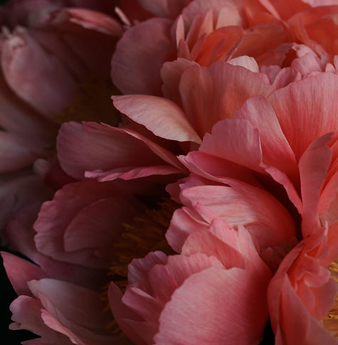 Image by Vera Sh