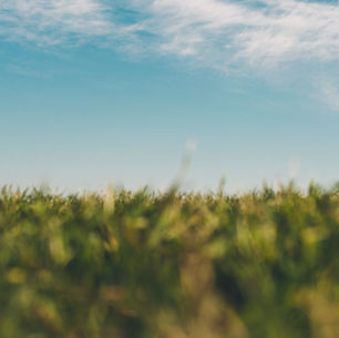 ただ、ここにいる