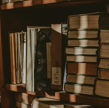 Image by Pavlo Semeniuk