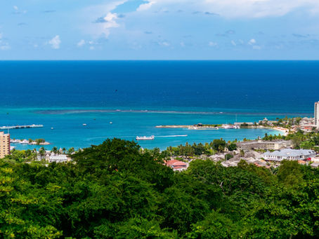 Current Tenders, Government Contracts, and Tender Search Engine in Jamaica | Jamaica Tenders