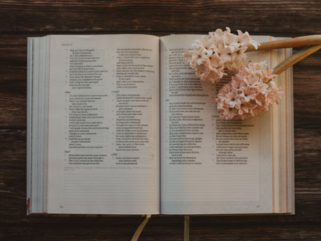 A Writer's Guideline for Readers