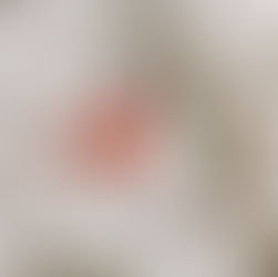 Winter Birds are cool (...get it?)