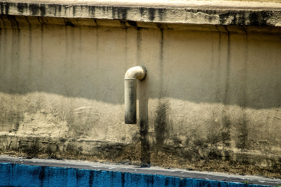 Sewage Backup Sanitization and Disinfection White Glove Plumbing & Restoration