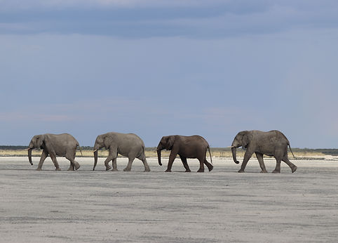 Image by Chris Koelewijn