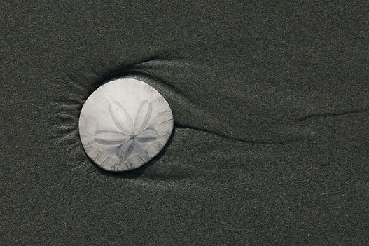 Image by Mike Dierken