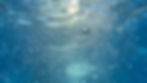 Image by J K