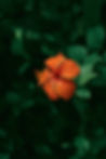 Image by Girl with red hat