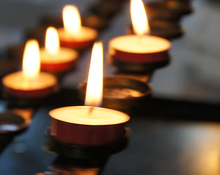 Image by Eli Solitas