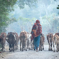 Image by Wietse Jongsma