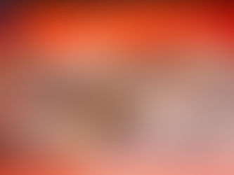 Pdl contenitori ittici: “Approvati nostri emendamenti per rendere efficace provvedimento.”