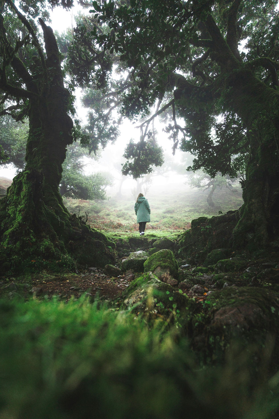 Mulher na floresta em busca do caminho