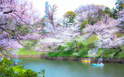 Seasonal Travel in Asia