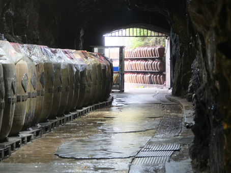 Fermentation: The Ancient Alchemy of Alcohol