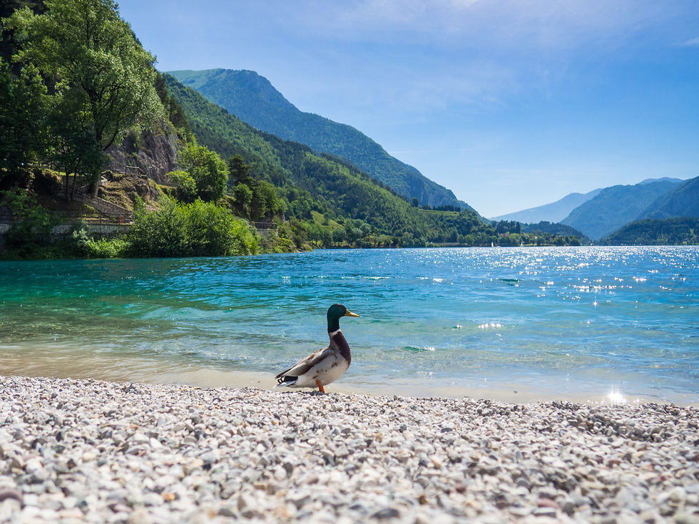 Ledrosee: Der sportliche Geheimtipp im Trentino