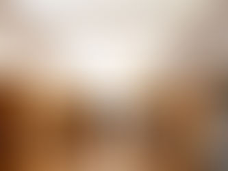 Giving Corporations a Conscience