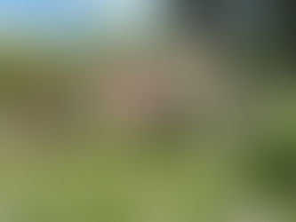 Idee regalo fan Signore degli Anelli