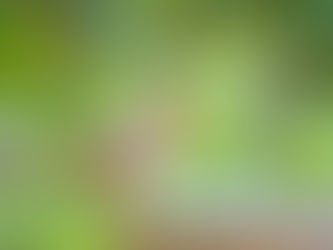 The Qur’an: Not a Comfort Zone, but a Wake-Up Call