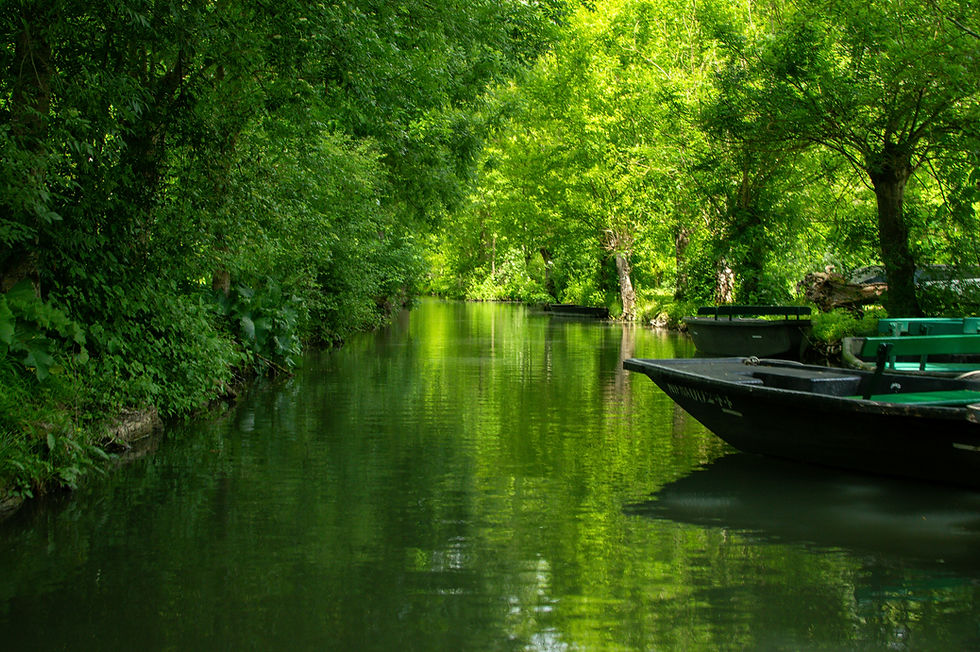DE LA VENISE VERTE AUX RIVAGES DE L'ATLANTIQUE