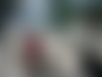 Shepherd facing an uncertain path. UNSPLASH