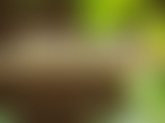 Volunteer Spotlight – Meet the People Behind the Race