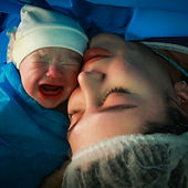 Image by Mohammad Hossein Farahzadi