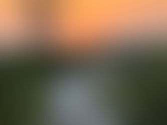 Navigating Life’s Seasons: A Reflection on Transitions, Grief, and Growing Older