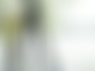 Looking for a new tripod then give these some consideration