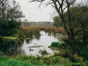 Local Nature Recovery Scheme