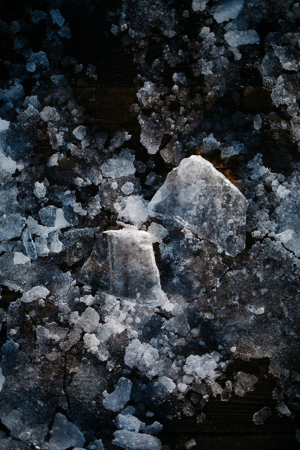 Image by Syuhei Inoue