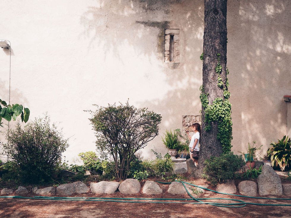 morning-yoga-olive-trees-couples