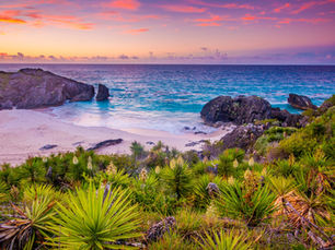 Rigden Capital Strategies Bermuda