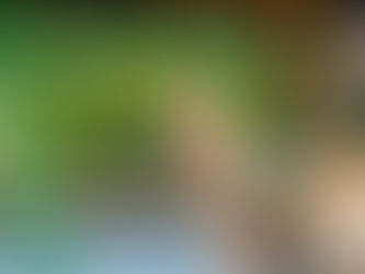 8 Things Service Dog Handlers Wish the Public Understood