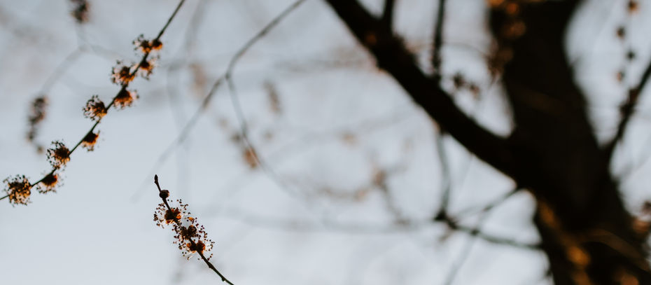 Öykü- Emek Bayrak- Mine'nin Baharı